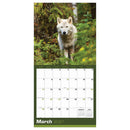2027 Wolves Wall Calendar-2