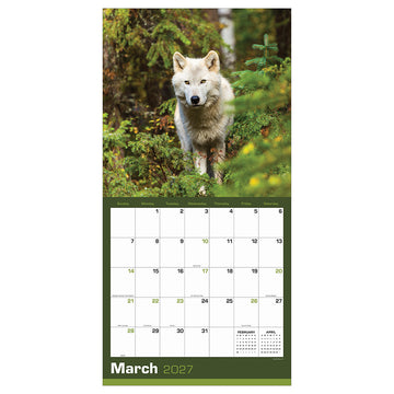 2027 Wolves Wall Calendar - 0