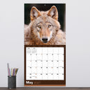 2027 Wolves Wall Calendar-4