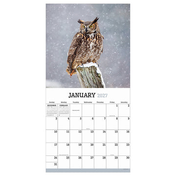2027 Owls Wall Calendar - 0