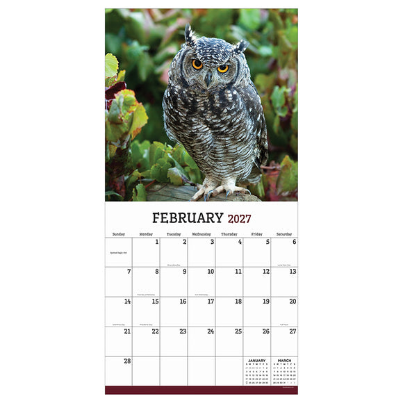 2027 Owls Wall Calendar