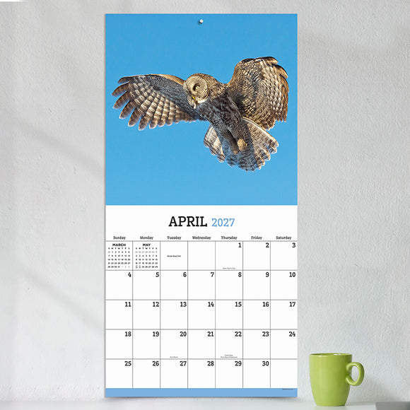 2027 Owls Wall Calendar