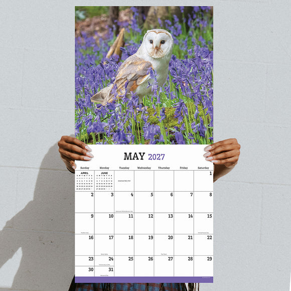 2027 Owls Wall Calendar