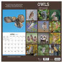2027 Owls Wall Calendar-6