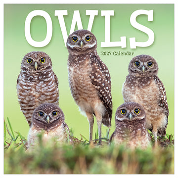 2027 Owls Wall Calendar