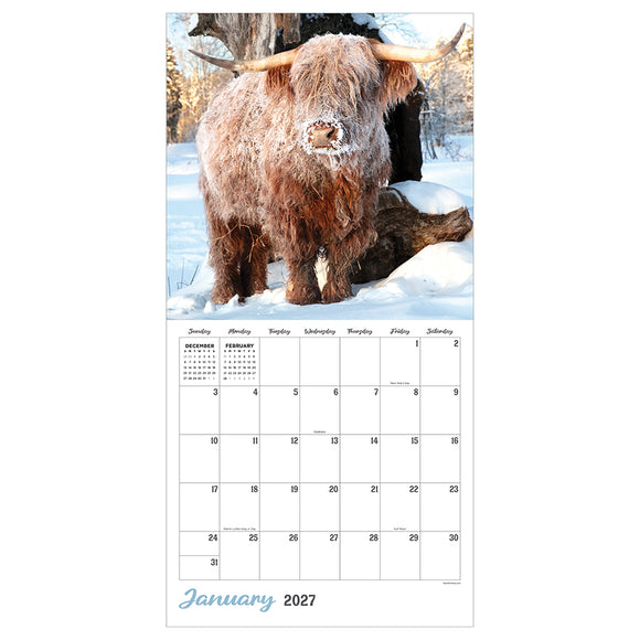 2027 Highland Cows Wall Calendar