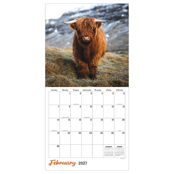 2027 Highland Cows Wall Calendar