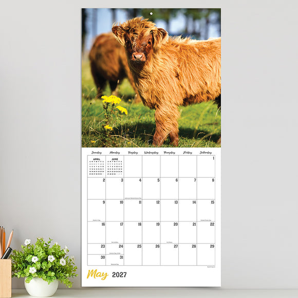 2027 Highland Cows Wall Calendar