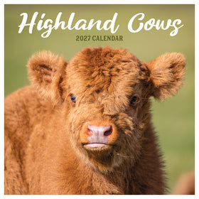 2027 Highland Cows Wall Calendar