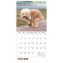 2027 Pooping Dogs Wall Calendar-3