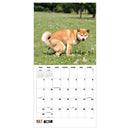 2027 Pooping Dogs Wall Calendar-4