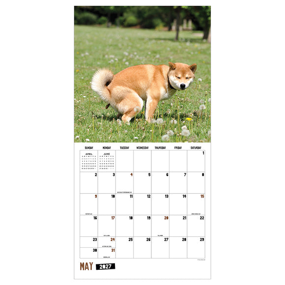 2027 Pooping Dogs Wall Calendar