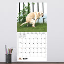 2027 Pooping Dogs Wall Calendar-5