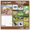 2027 Pooping Dogs Wall Calendar-6