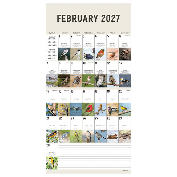 2027 Birds: Backyard and Beyond Wall Calendar