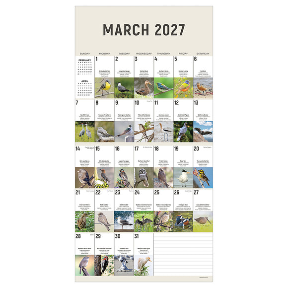 2027 Birds: Backyard and Beyond Wall Calendar