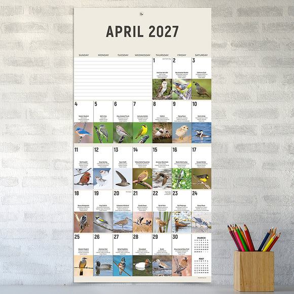 2027 Birds: Backyard and Beyond Wall Calendar