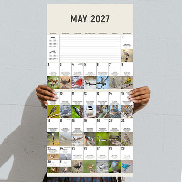 2027 Birds: Backyard and Beyond Wall Calendar - 0