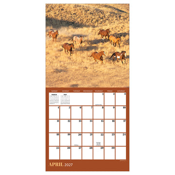 2027 Horses Mini Calendar - 0