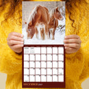 2027 Horses Mini Calendar-5