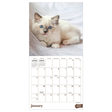 2027 Kittens Mini Calendar - 0