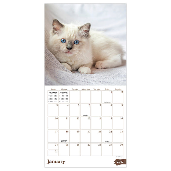 2027 Kittens Mini Calendar