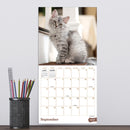 2027 Kittens Mini Calendar-4