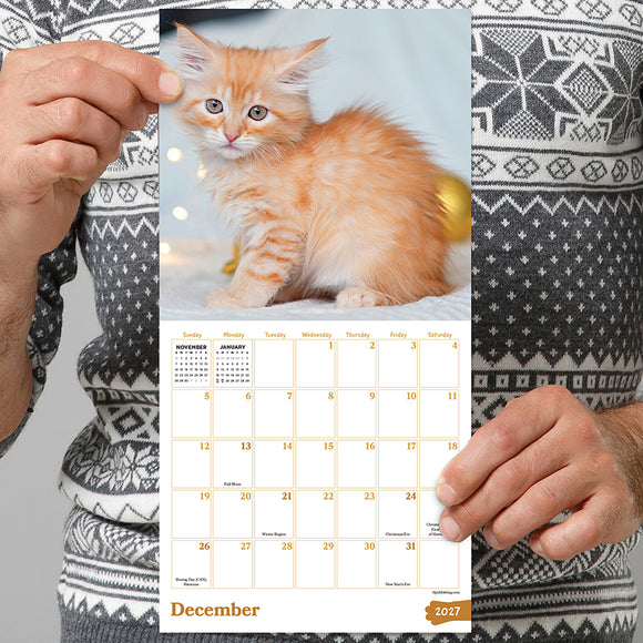 2027 Kittens Mini Calendar