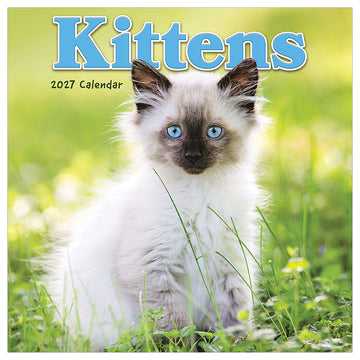 2027 Kittens Mini Calendar