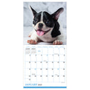 2027 Puppies Mini Calendar-2
