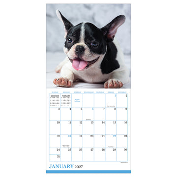 2027 Puppies Mini Calendar - 0