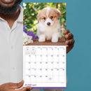 2027 Puppies Mini Calendar-5