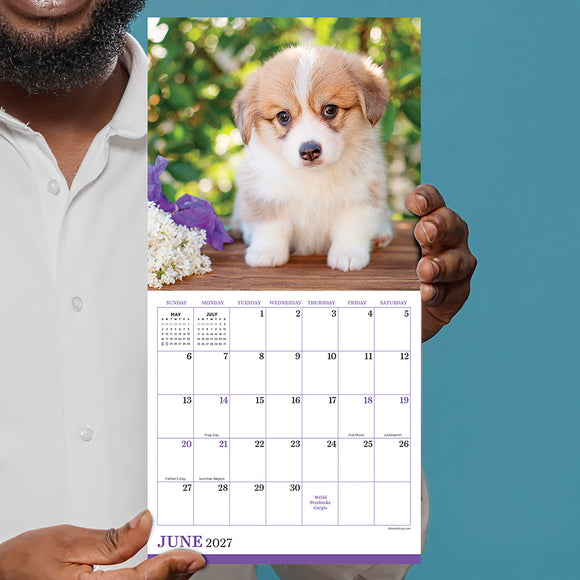 2027 Puppies Mini Calendar