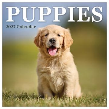 2027 Puppies Mini Calendar