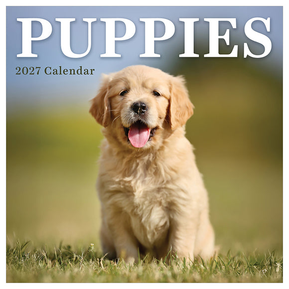 2027 Puppies Mini Calendar