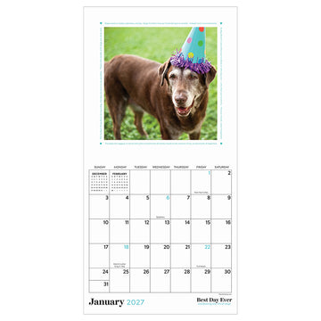 2027 Best Day Ever: Dogs Mini Calendar - 0