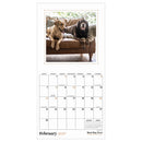2027 Best Day Ever: Dogs Mini Calendar-3