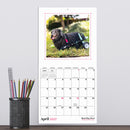 2027 Best Day Ever: Dogs Mini Calendar-4