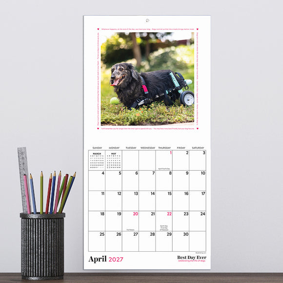 2027 Best Day Ever: Dogs Mini Calendar