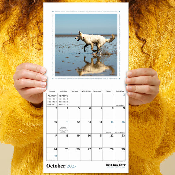 2027 Best Day Ever: Dogs Mini Calendar