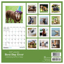 2027 Best Day Ever: Dogs Mini Calendar-6
