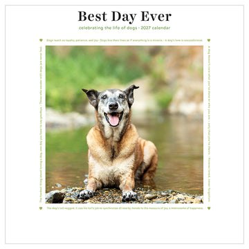 2027 Best Day Ever: Dogs Mini Calendar