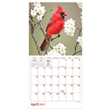 2027 Backyard Birds Mini Calendar - 0