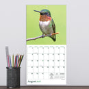 2027 Backyard Birds Mini Calendar-4