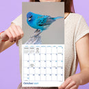 2027 Backyard Birds Mini Calendar-5