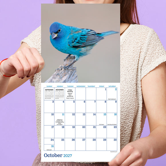 2027 Backyard Birds Mini Calendar
