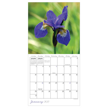 2027 Flowers Mini Calendar - 0