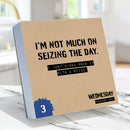 2027 Anti Affirmations/Daily Sarcasm Daily Desktop Calendar-2