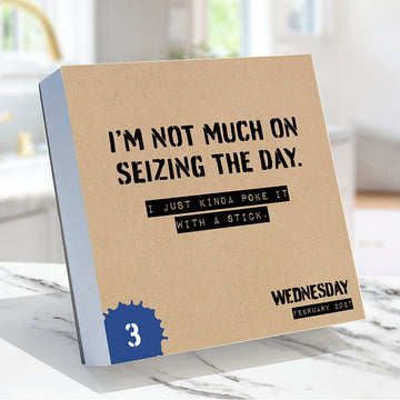 2027 Anti Affirmations/Daily Sarcasm Daily Desktop Calendar - 0