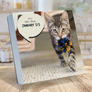 2027 Cat A Day Daily Desktop Calendar-2